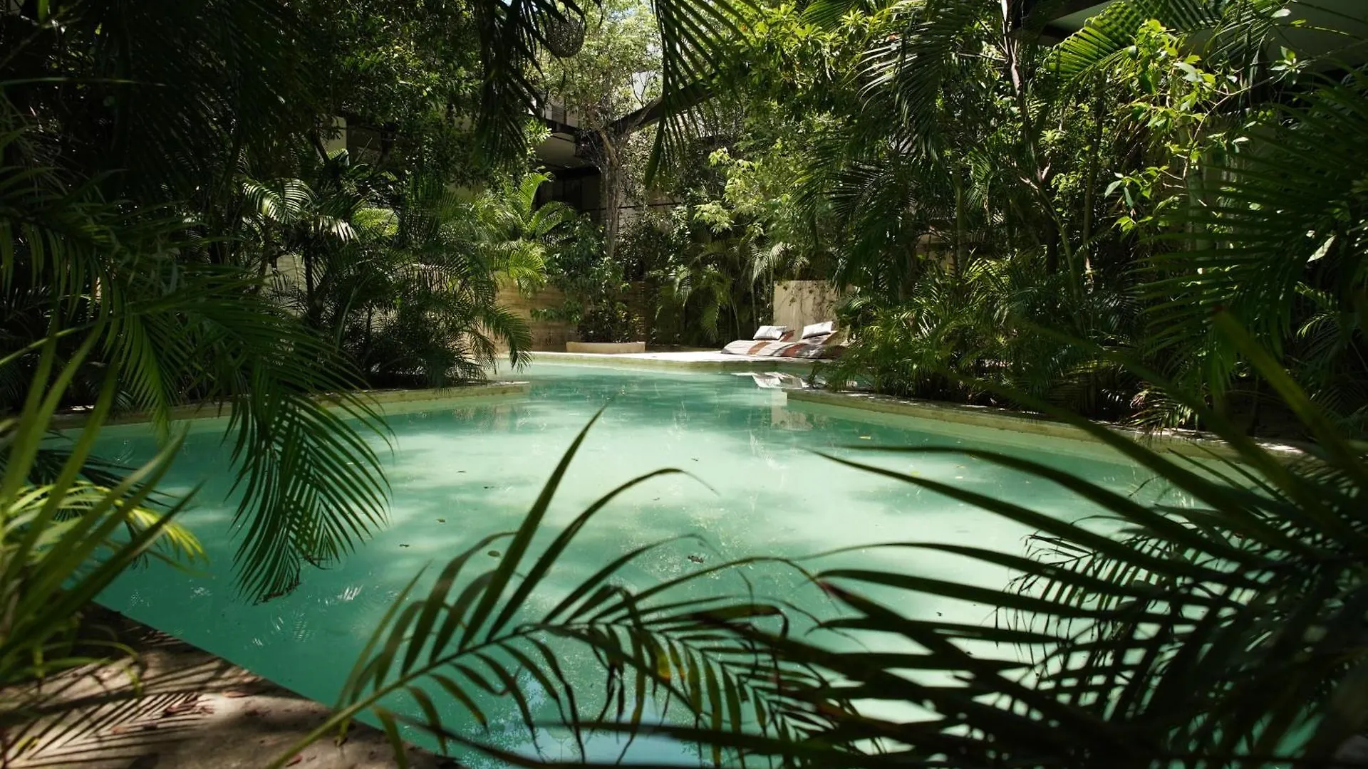 Tulum Thoth Departamento En La Veleta Lejlighed Mexico