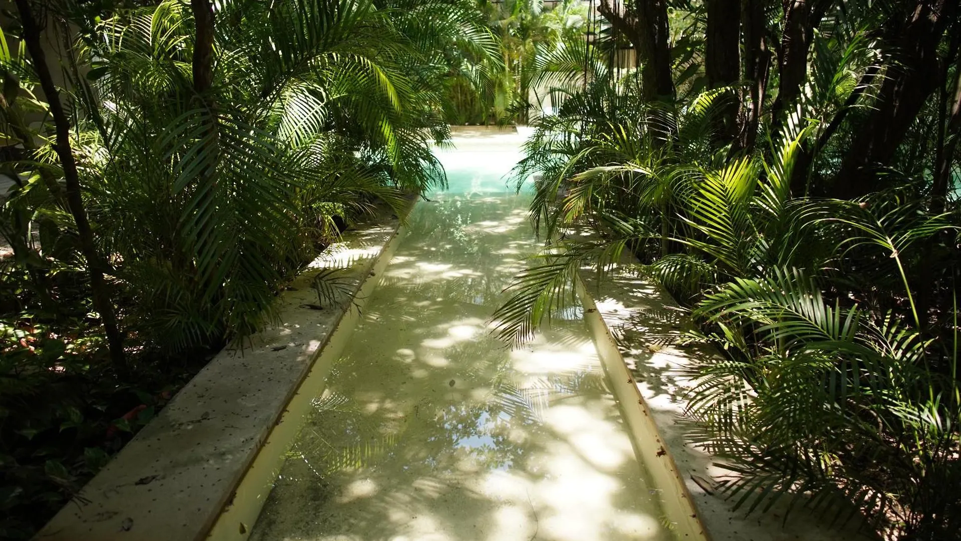 Tulum Thoth Departamento En La Veleta Διαμέρισμα